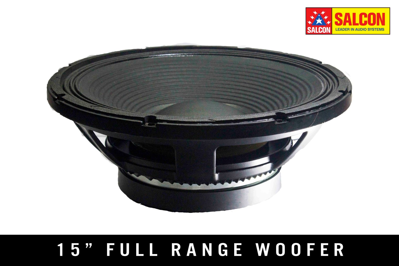 15" FULL RANGE PRO SPEAKER FRONT
