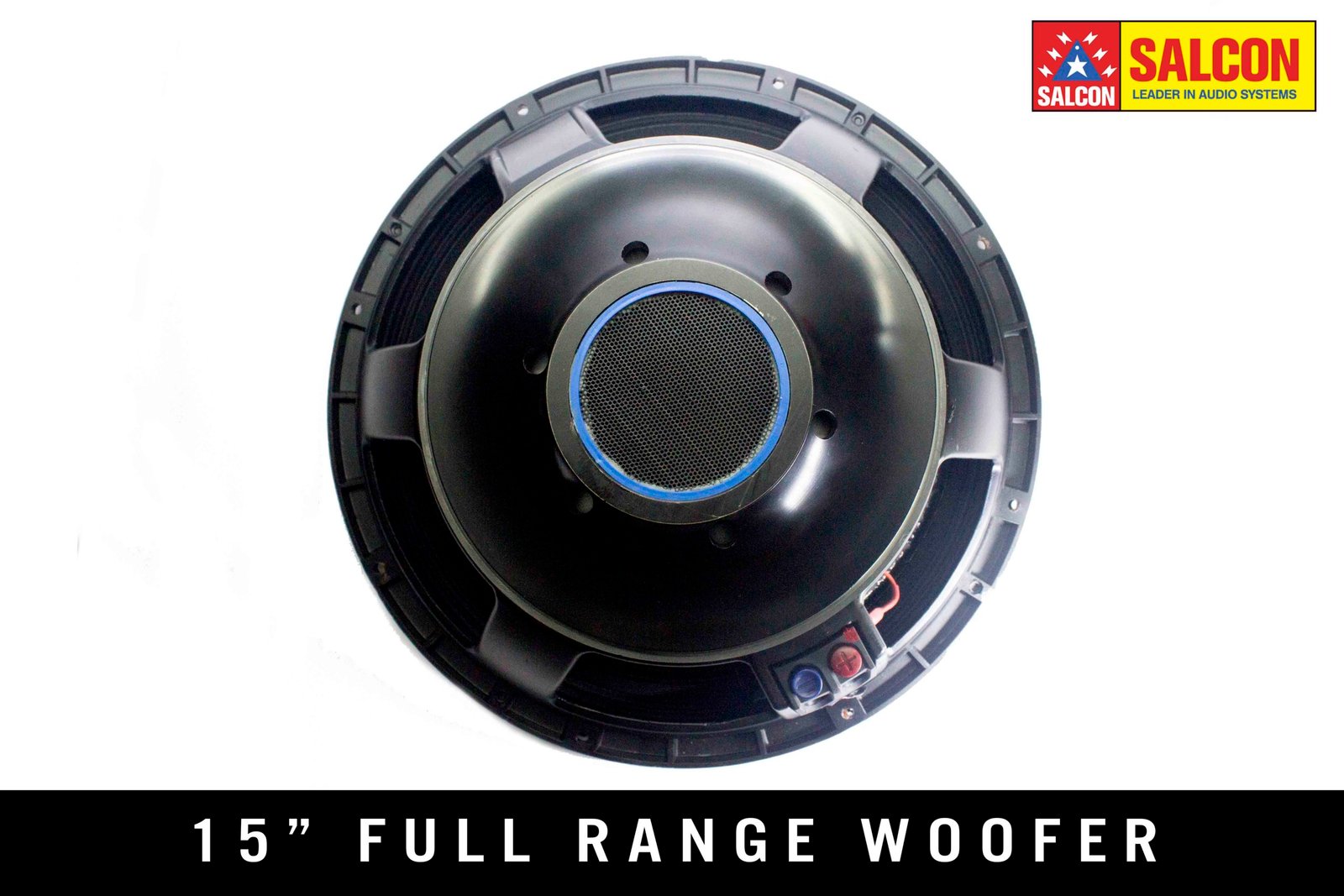15" FULL RANGE PRO SPEAKER BACK
