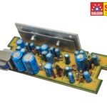 4446 Double IC Car Audio Amp Module