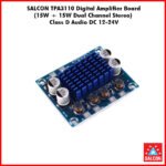 Salcon TPA3110 Digital Amplifier Board (311)