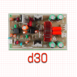 Salcon Class-D 300W Mono Amplifier Board (D30)